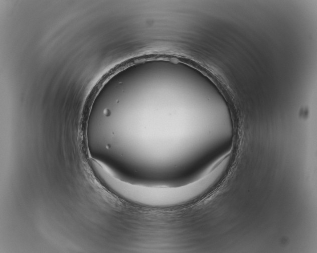 X0000111050880200907091631