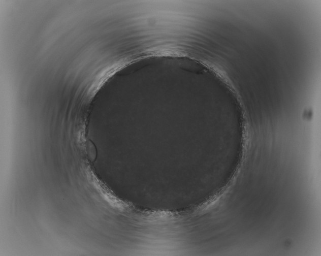 X0000111050881200907091631