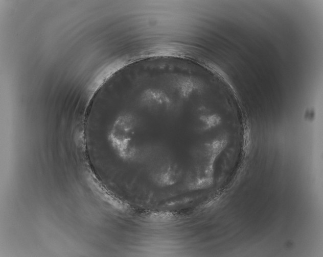 X0000111050882200907091631