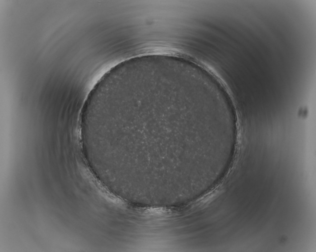 X0000111050883200907091631