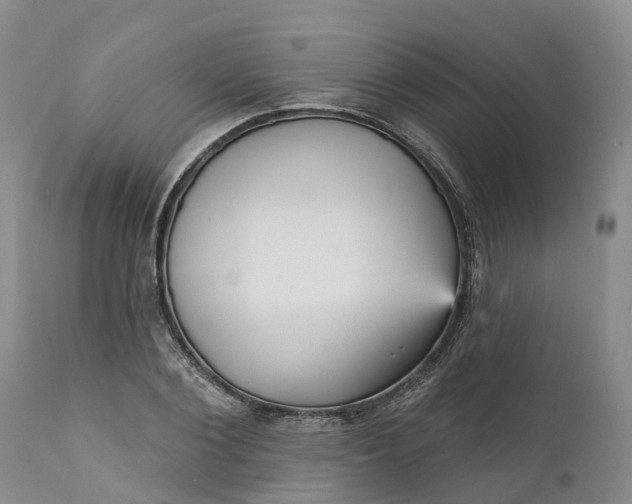 X0000111050884200907091631