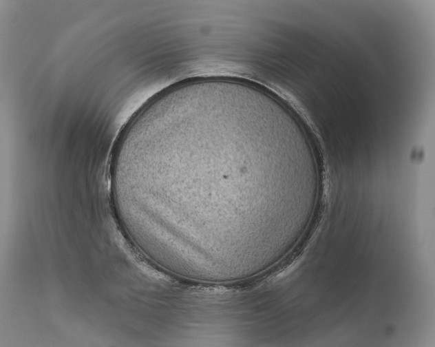 X0000111050885200907091631