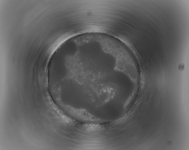 X0000111050886200907091631