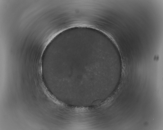 X0000111050887200907091631