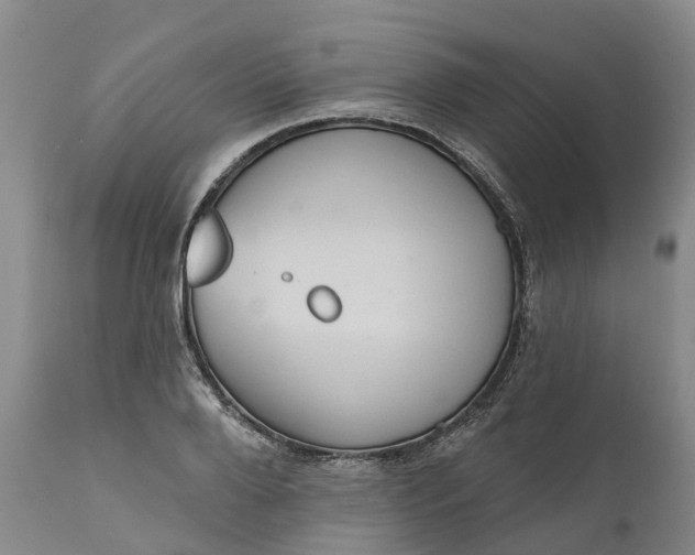 X0000111050888200907091631