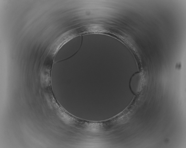 X0000111050889200907091631