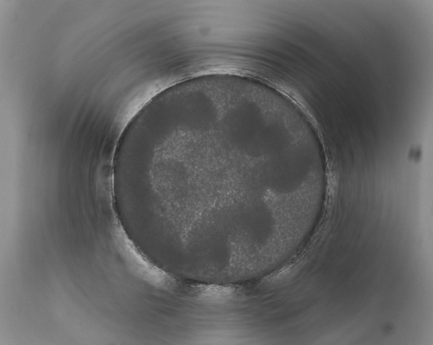 X0000111050890200907091631