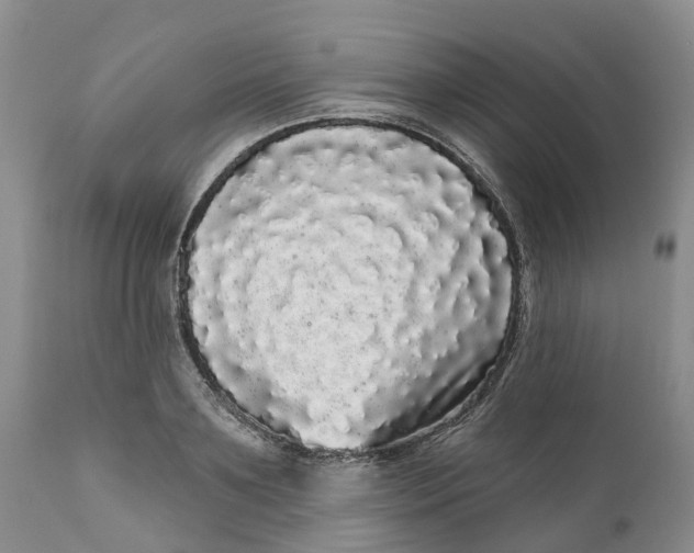 X0000111050891200907091631