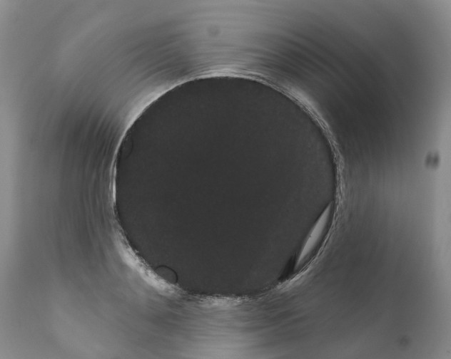 X0000111050892200907091631