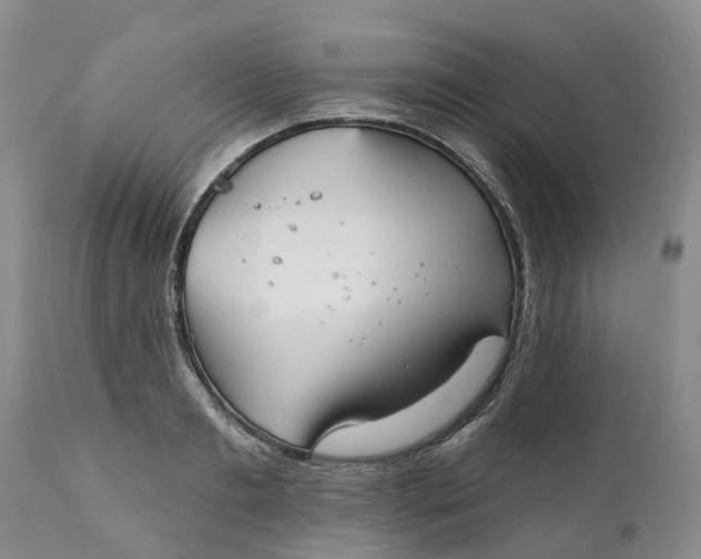 X0000111050893200907091631