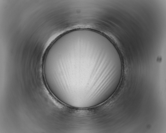 X0000111050894200907091631