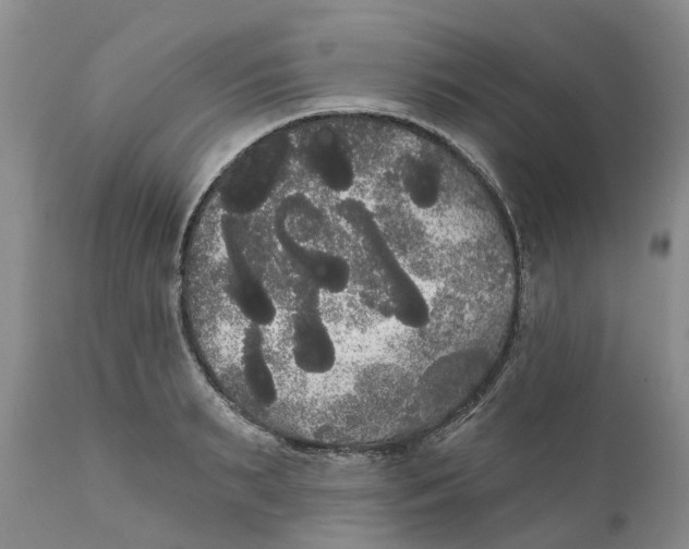 X0000111050895200907091631