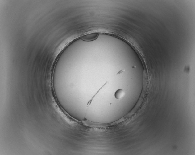 X0000111050898200907091631