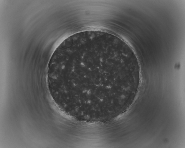 X0000111050899200907091631