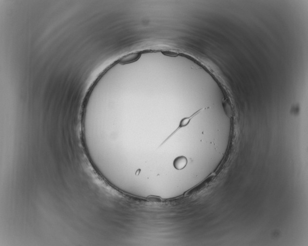 X0000111050904200907091631