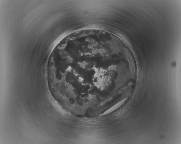 X0000111050907200907091631