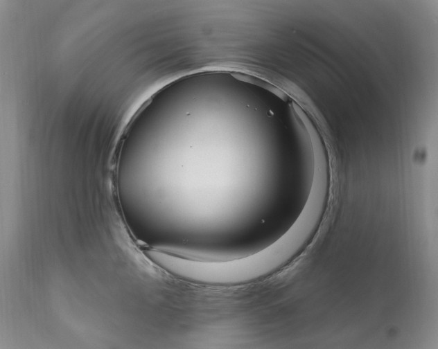 X0000111050908200907091631