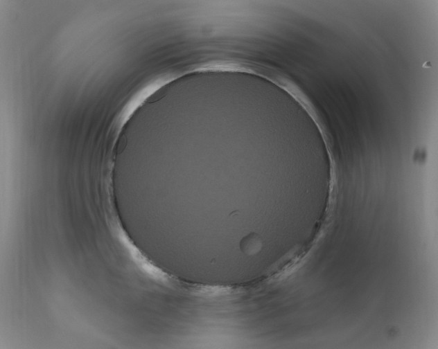 X0000111050909200907091631