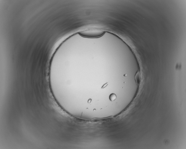 X0000111050912200907091631