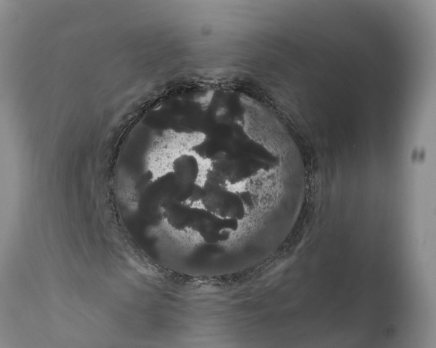 X0000111050913200907091630