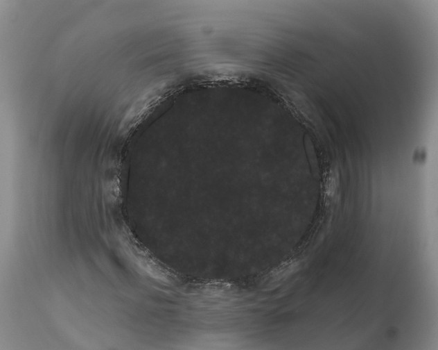 X0000111050916200907091630