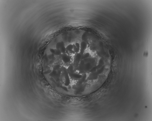 X0000111050917200907091630