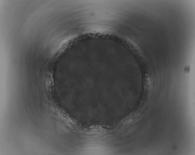 X0000111050918200907091630