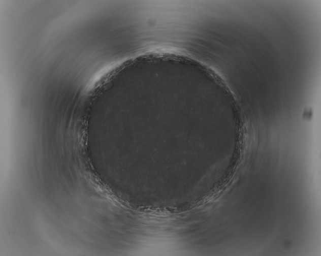 X0000111050919200907091630