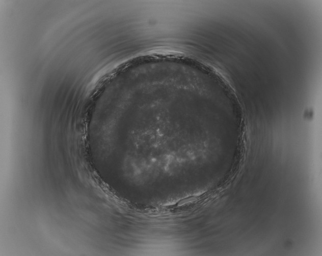 X0000111050920200907091630