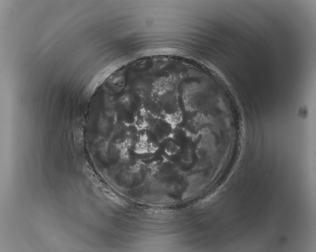 X0000111050921200907091630