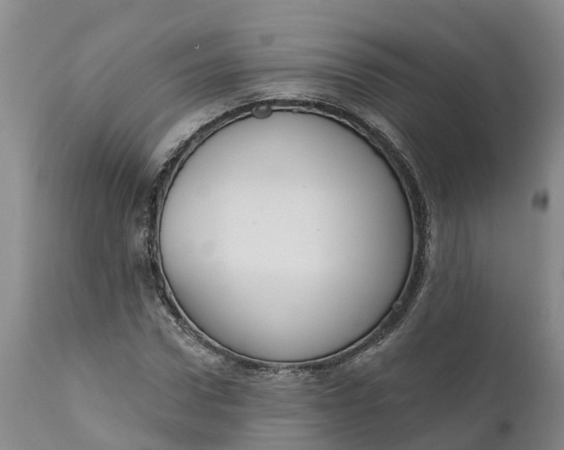 X0000111050922200907091630