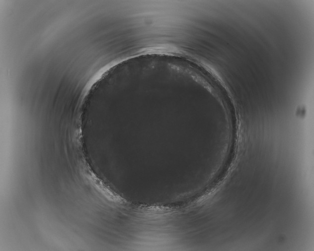 X0000111050923200907091630