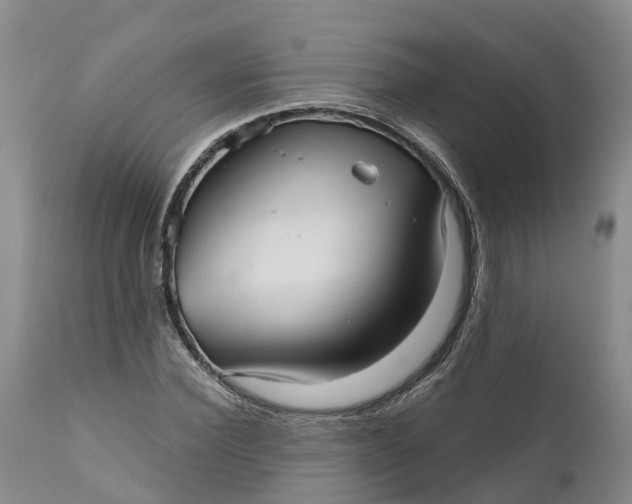 X0000111050924200907091630