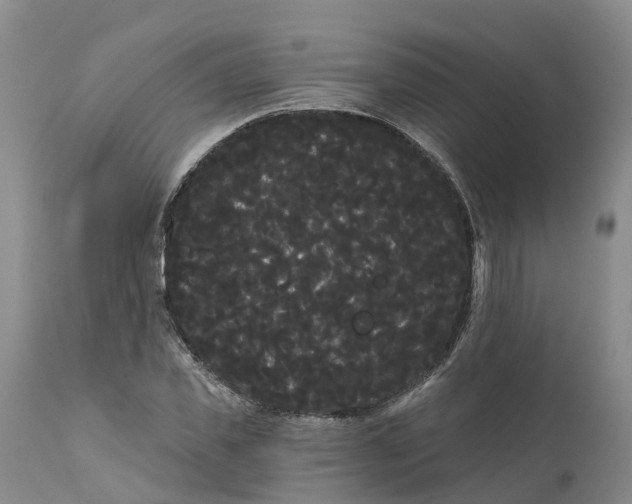 X0000111050925200907091630