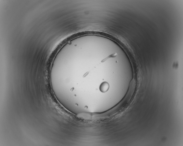 X0000111050926200907091630