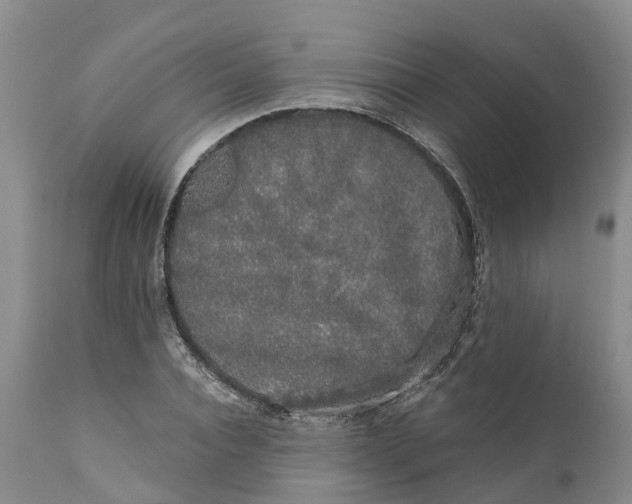 X0000111050928200907091630