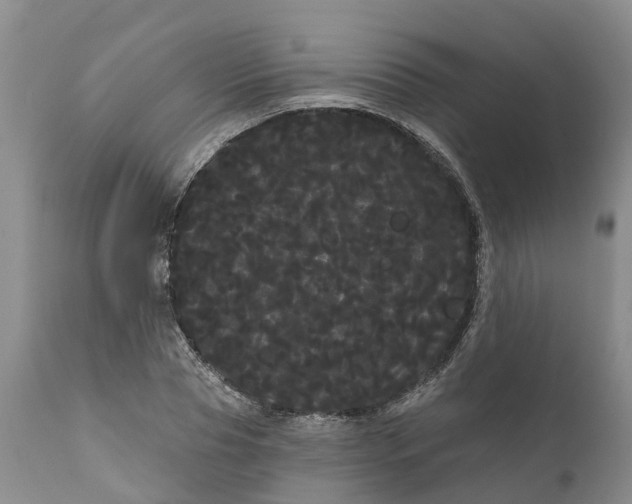 X0000111050929200907091630