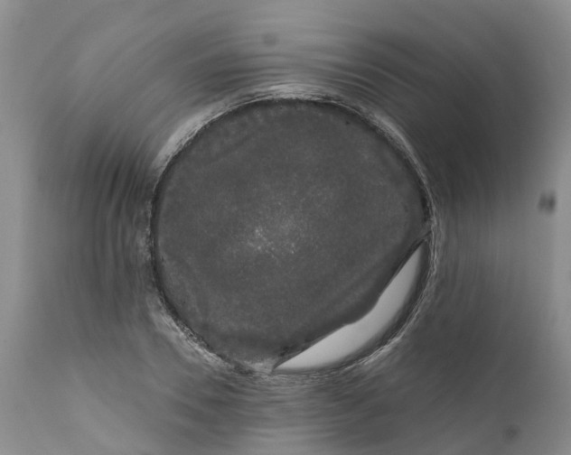 X0000111050930200907091630