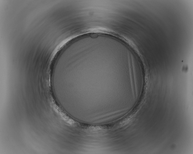 X0000111050931200907091630