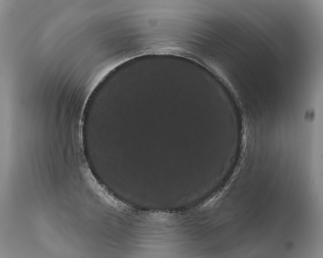 X0000111050932200907091630