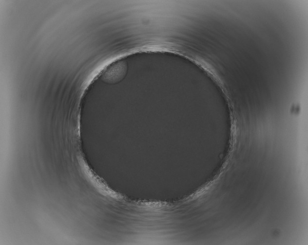 X0000111050934200907091630