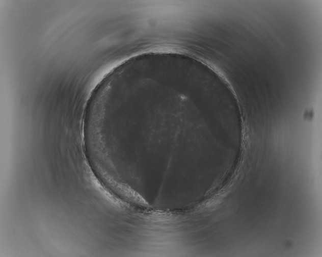 X0000111050935200907091630