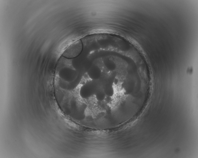 X0000111050937200907091630