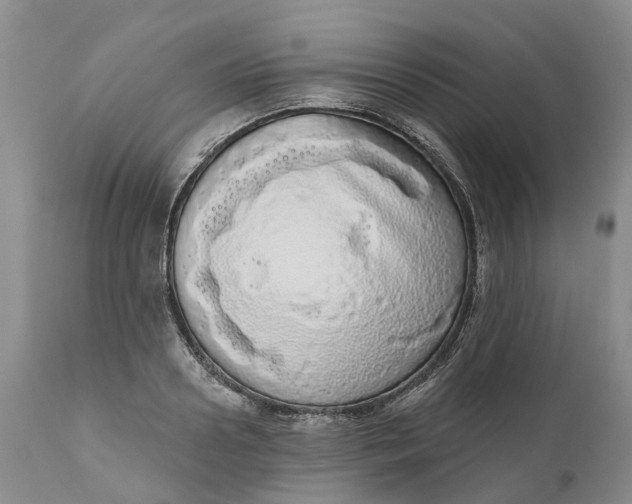 X0000111050938200907091630