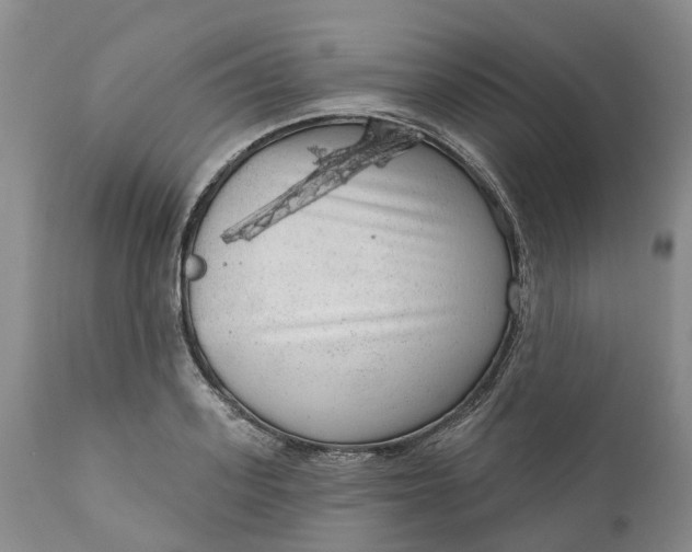 X0000111050939200907091630