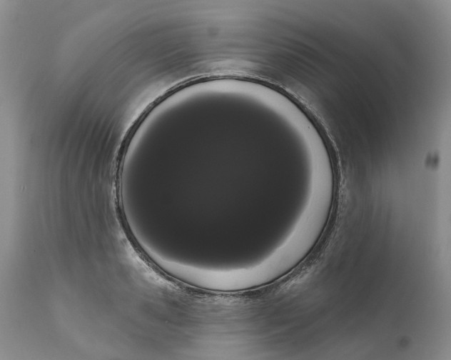 X0000111050941200907091630