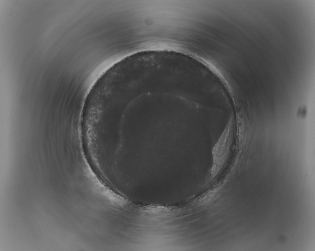 X0000111050943200907091630