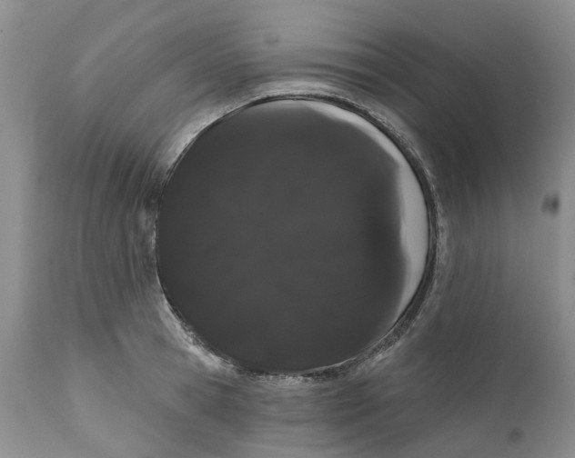 X0000111050945200907091630