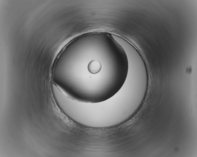 X0000111050948200907091630