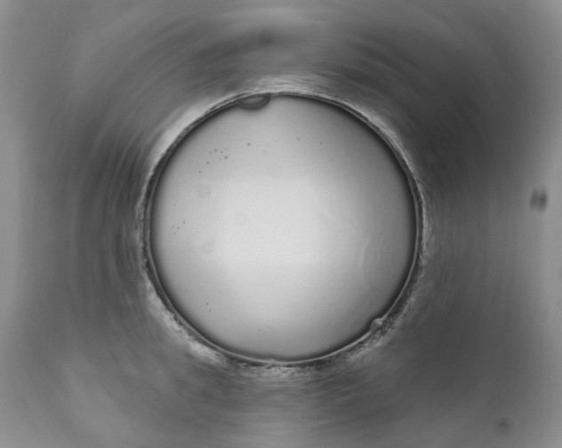 X0000111050949200907091630